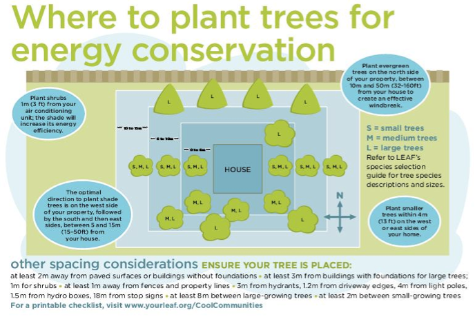 Trees and Energy Conservation | Holston Electric Cooperative, Inc